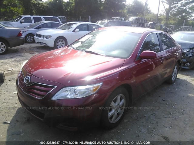 4T1BK3EK5AU108036 - 2010 TOYOTA CAMRY SE/LE/XLE RED photo 2