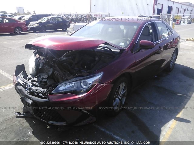 4T1BF1FK7FU990843 - 2015 TOYOTA CAMRY LE/XLE/SE/XSE RED photo 2