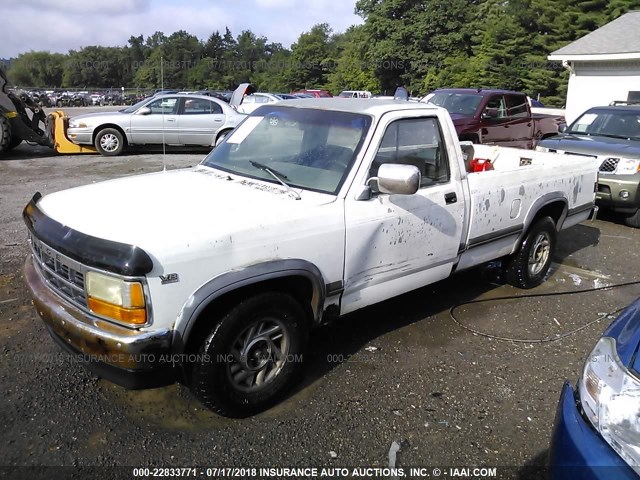 1B7GL26Y1MS286255 - 1991 DODGE DAKOTA WHITE photo 2