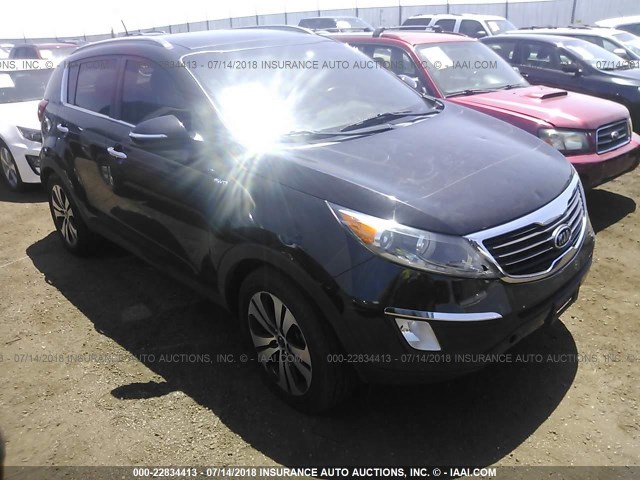 KNDPCCA29B7035475 - 2011 KIA SPORTAGE EX/SX BLACK photo 1