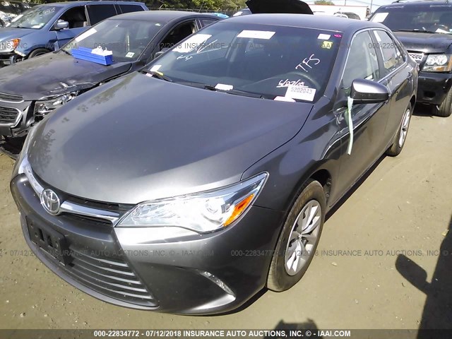 4T4BF1FKXGR560876 - 2016 TOYOTA CAMRY LE/XLE/SE/XSE GRAY photo 2