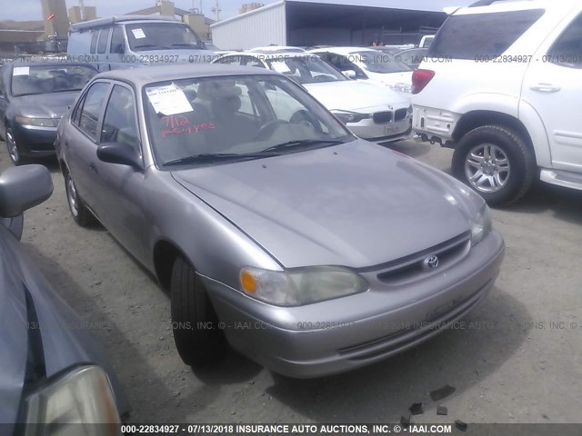 1NXBR12E8XZ195714 - 1999 TOYOTA COROLLA VE/CE/LE TAN photo 1