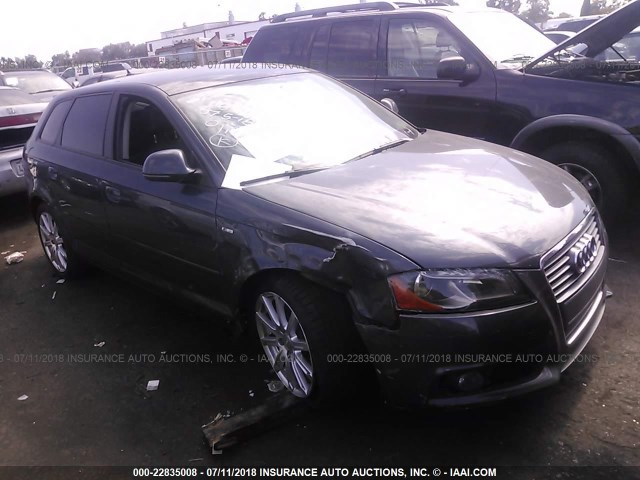 WAUKEAFM7AA130540 - 2010 AUDI A3 PREMIUM PLUS Pewter photo 1