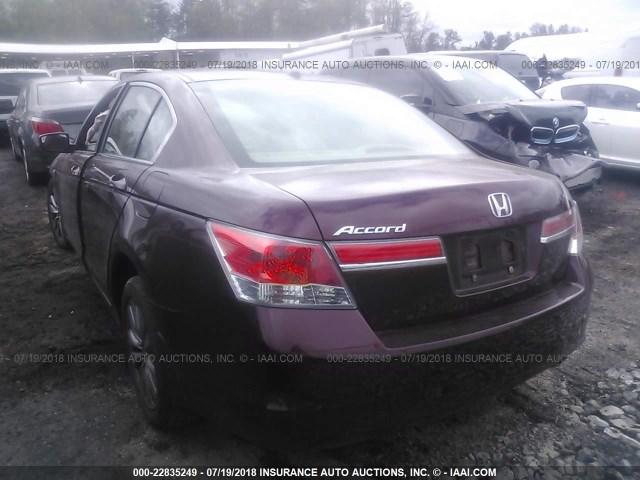 1HGCP2F84CA169892 - 2012 HONDA ACCORD EXL PURPLE photo 3