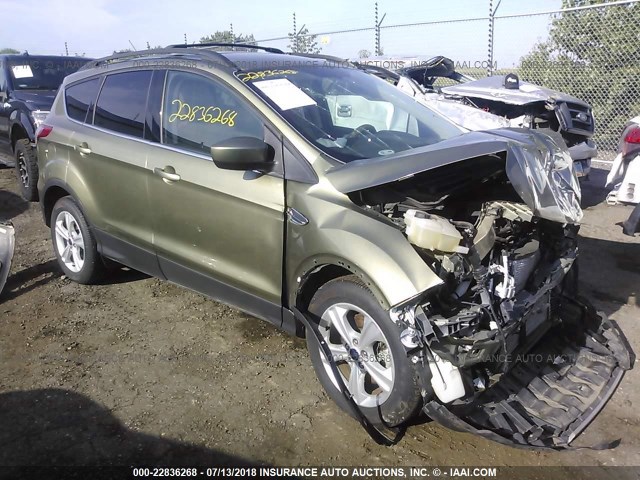 1FMCU9GX5DUB96584 - 2013 FORD ESCAPE SE GREEN photo 1