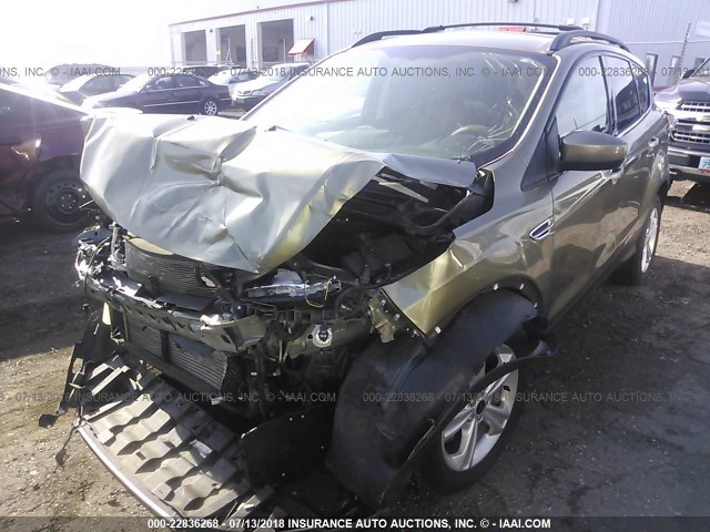 1FMCU9GX5DUB96584 - 2013 FORD ESCAPE SE GREEN photo 2