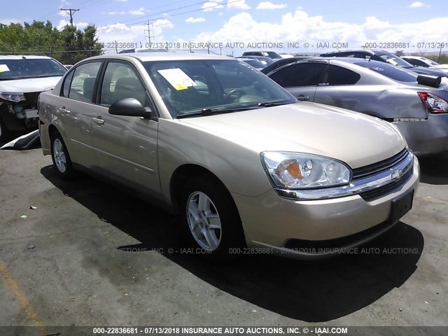 1G1ZT52805F279333 - 2005 CHEVROLET MALIBU LS GOLD photo 1