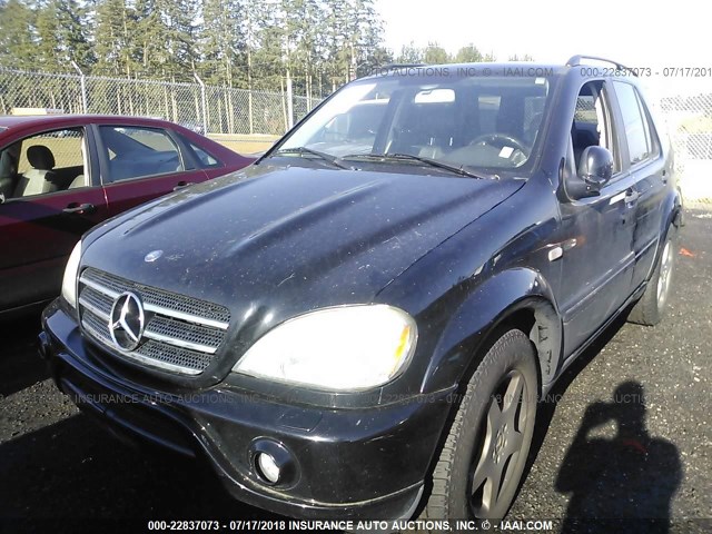 4JGAB74E6YA199246 - 2000 MERCEDES-BENZ ML 55 BLACK photo 2