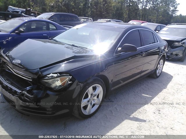 1G1ZB5E02CF247683 - 2012 CHEVROLET MALIBU LS Qara foto 2