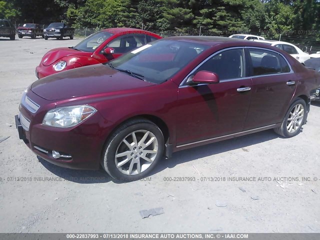 1G1ZE5EB4AF206509 - 2010 CHEVROLET MALIBU LTZ 勃艮第红 照片 2