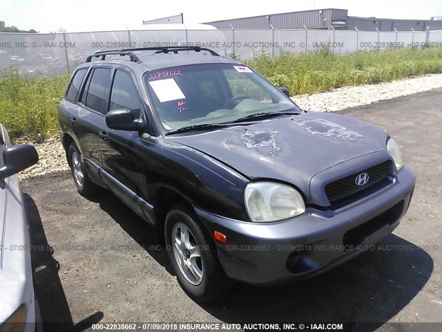 KM8SB12B33U360914 - 2003 HYUNDAI SANTA FE GL BLACK photo 1