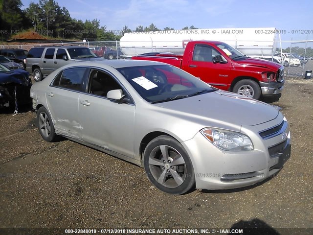 1G1ZC5E19BF341239 - 2011 CHEVROLET MALIBU 1LT 灰色 照片 1