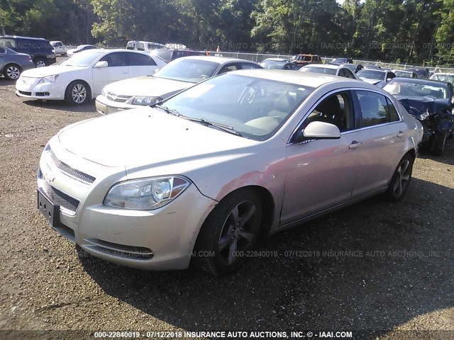 1G1ZC5E19BF341239 - 2011 CHEVROLET MALIBU 1LT 灰色 照片 2