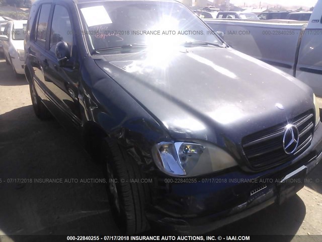 4JGAB54E01A225611 - 2001 MERCEDES-BENZ ML 320 BLUE photo 1