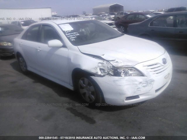 4T4BE46K99R079248 - 2009 TOYOTA CAMRY SE/LE/XLE WHITE photo 1