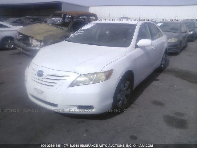 4T4BE46K99R079248 - 2009 TOYOTA CAMRY SE/LE/XLE WHITE photo 2