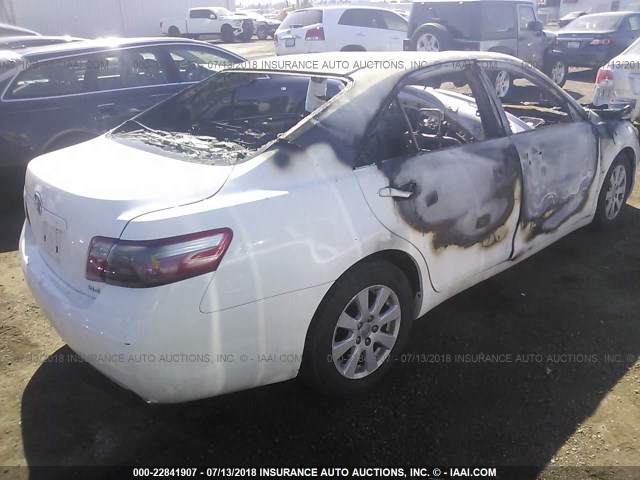 4T4BE46K99R078908 - 2009 TOYOTA CAMRY SE/LE/XLE WHITE photo 4