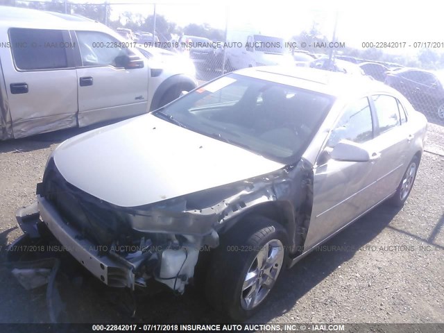1G1ZC5EB3AF156076 - 2010 CHEVROLET MALIBU 1LT GOLD photo 2