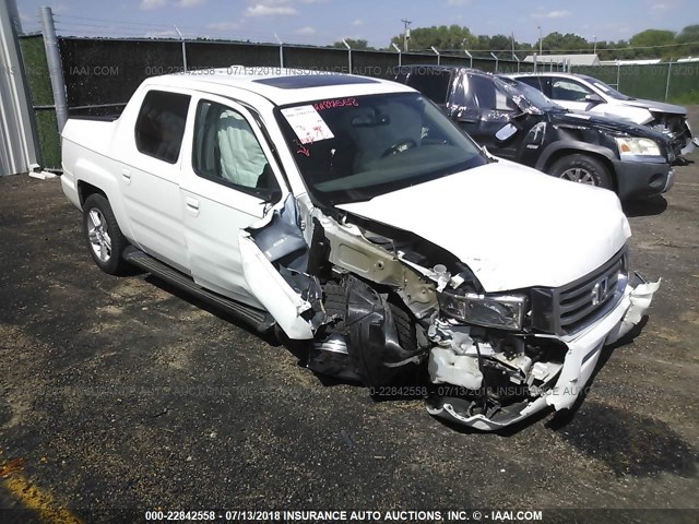 5FPYK1F55EB012067 - 2014 HONDA RIDGELINE RTL WHITE photo 1