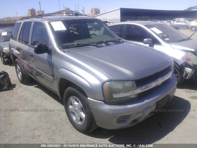 1GNDS13S222175606 - 2002 CHEVROLET TRAILBLAZER  BROWN photo 1