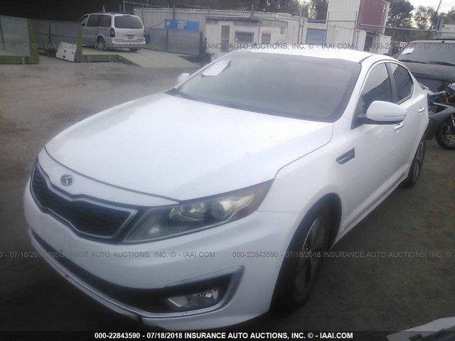 KNAGM4ADXC5034558 - 2012 KIA OPTIMA HYBRID WHITE photo 2