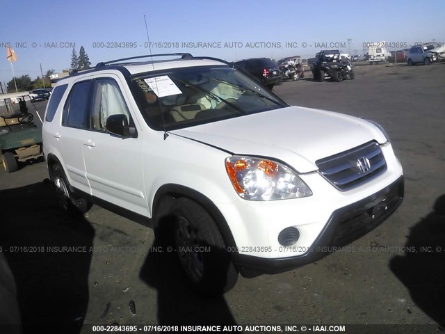 JHLRD78906C045117 - 2006 HONDA CR-V SE/EX WHITE photo 1