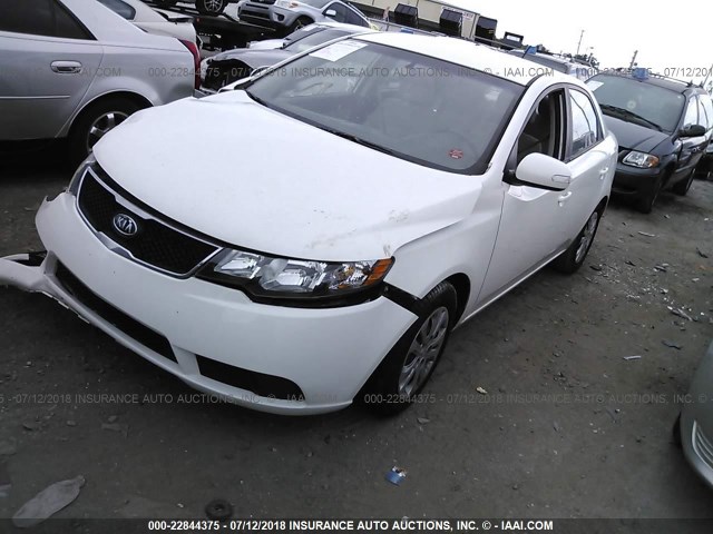 KNAFU4A2XA5118144 - 2010 KIA FORTE EX WHITE photo 2