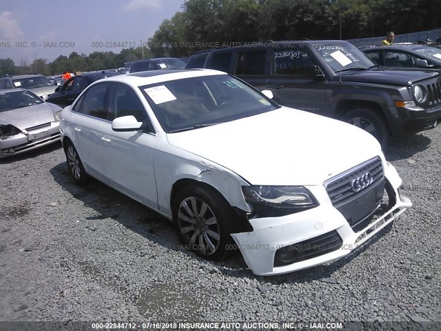 WAUFFAFLXAN010312 - 2010 AUDI A4 PREMIUM PLUS WHITE photo 1