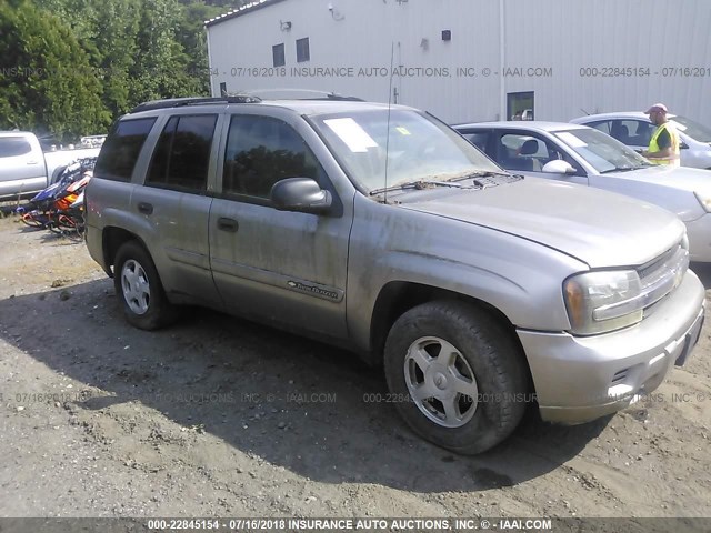 1GNDT13S022255645 - 2002 CHEVROLET TRAILBLAZER  TAN photo 1