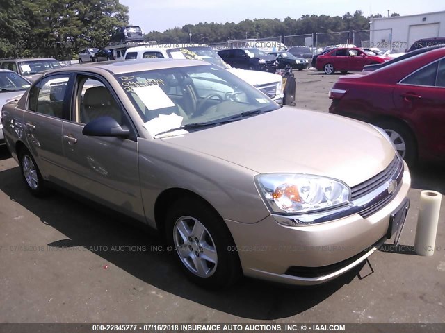 1G1ZT54864F227636 - 2004 CHEVROLET MALIBU LS TAN photo 1