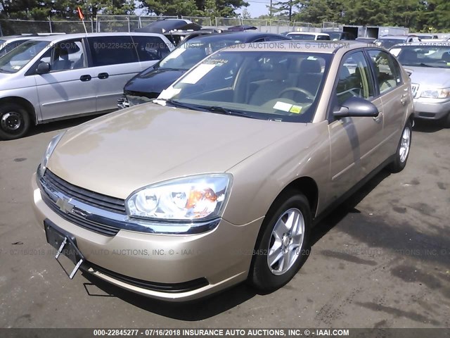 1G1ZT54864F227636 - 2004 CHEVROLET MALIBU LS TAN photo 2