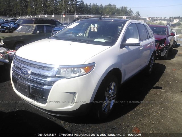 2FMDK4KC8DBC07732 - 2013 FORD EDGE LIMITED WHITE photo 2