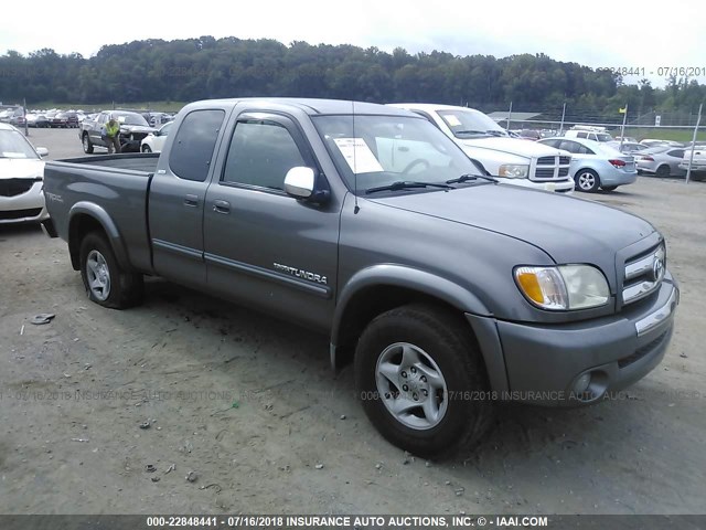 5TBBT44173S434176 - 2003 TOYOTA TUNDRA ACCESS CAB SR5 GRAY photo 1