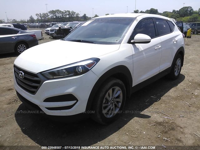 KM8J23A43GU217154 - 2016 HYUNDAI TUCSON SE WHITE photo 2