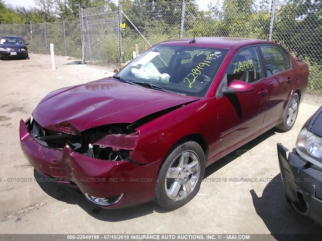 1G1ZU53866F196213 - 2006 CHEVROLET MALIBU LTZ წითელი ფოტო 2