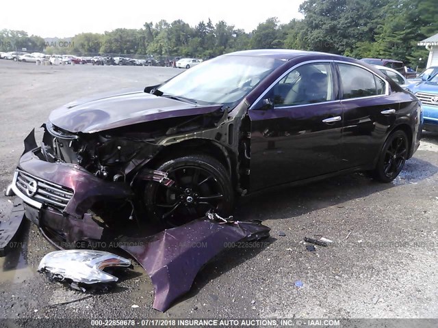 1N4AA5AP4EC479514 - 2014 NISSAN MAXIMA S/SV PURPLE photo 2