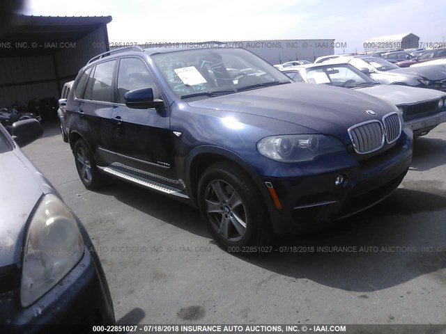 5UXZW0C54BL658238 - 2011 BMW X5 XDRIVE35D BLUE photo 1