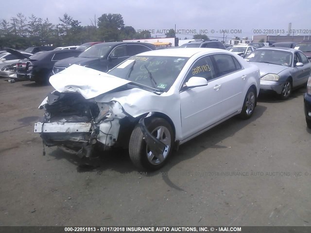 1G1ZC5EB5AF207691 - 2010 CHEVROLET MALIBU 1LT 白色 照片 2