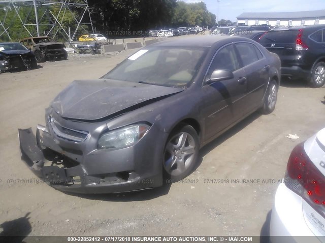 1G1ZA5E02AF318493 - 2010 CHEVROLET MALIBU LS ყავისფერი ფოტო 2