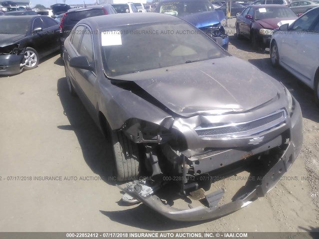 1G1ZA5E02AF318493 - 2010 CHEVROLET MALIBU LS ყავისფერი ფოტო 6