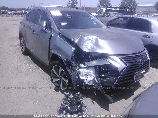 JTJBJRBZ0J2087276 - 2018 LEXUS NX 300H SILVER photo 1