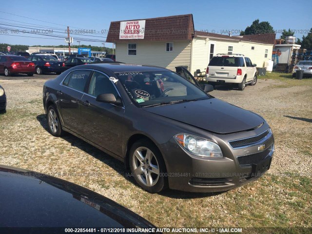 1G1ZB5EB5AF160357 - 2010 CHEVROLET MALIBU LS 米色 照片 1