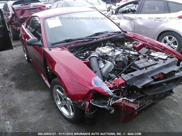 1FAFP47V41F252952 - 2001 FORD MUSTANG COBRA SVT RED photo 1