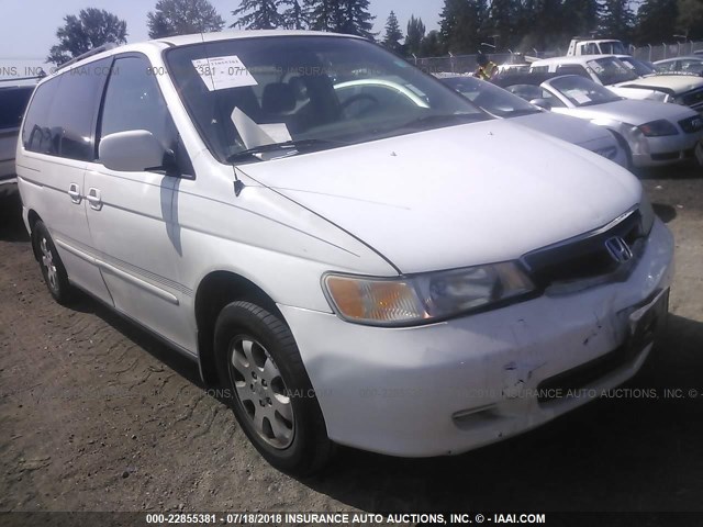 5FNRL18044B069256 - 2004 HONDA ODYSSEY EXL WHITE photo 1