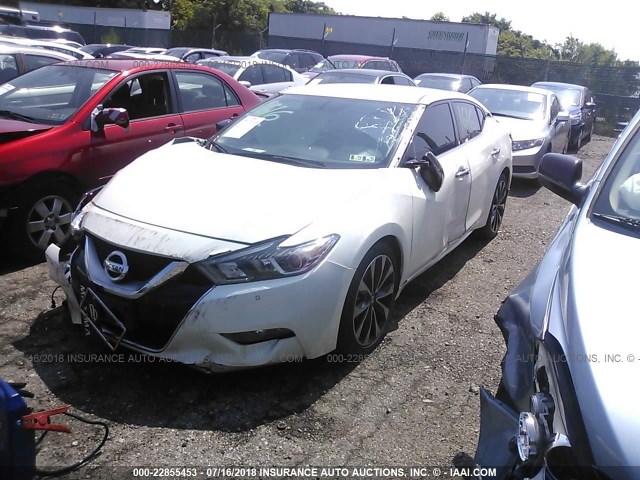 1N4AA6AP2GC408692 - 2016 NISSAN MAXIMA 3.5S/SV/SL/SR/PLAT WHITE photo 2