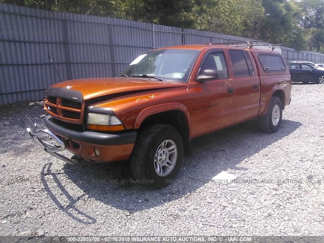 1B7GG2AN81S136575 - 2001 DODGE DAKOTA QUAD ORANGE photo 2