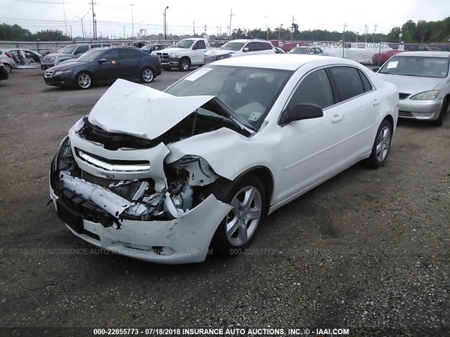 1G1ZA5EU4CF398689 - 2012 CHEVROLET MALIBU LS WHITE photo 2