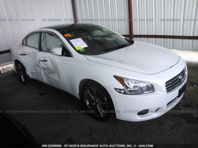 1N4AA5AP1BC855582 - 2011 NISSAN MAXIMA S/SV WHITE photo 1