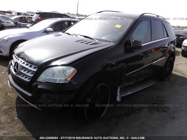 4JGBB8GB8BA747525 - 2011 MERCEDES-BENZ ML 350 4MATIC BLACK photo 2