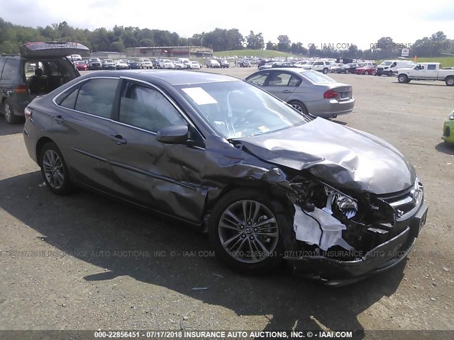 4T1BF1FKXHU438756 - 2017 TOYOTA CAMRY LE/XLE/SE/XSE GRAY photo 1